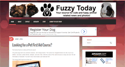 Desktop Screenshot of fuzzytoday.com