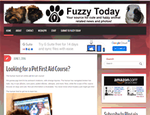 Tablet Screenshot of fuzzytoday.com